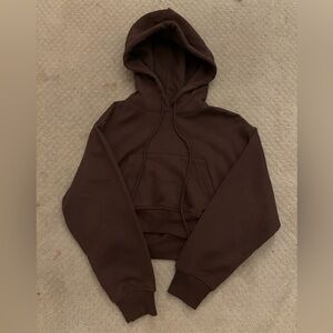 Brown Zara cropped sweater